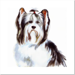 Biewer Terrier Watercolor - Dog Lovers Posters and Art